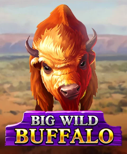 Play Big Wild Buffalo at Rock N Rolla Casino